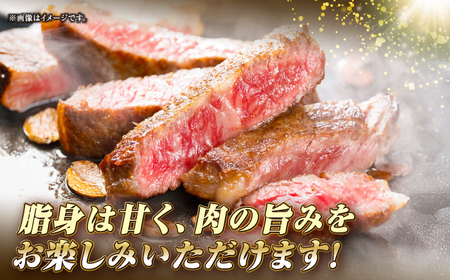 【全6回定期便】長崎和牛 サーロイン ステーキ 350g 《壱岐市》【KRAZY MEAT】 A5 A4 冷凍 和牛 肉 牛肉 BBQ[JER118]