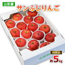 【ふるさと納税】山形のサンふじりんご 特秀品 約5kg(12～20玉) fz19-137 リンゴ 林檎 フルーツ 果物 お取り寄せ 送料無料