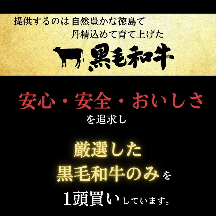 ステーキ 赤身 約 500g 冷凍 国産 黒毛和牛 阿波牛 和牛 牛肉 赤身 モモ ギフト プレゼント 贈答