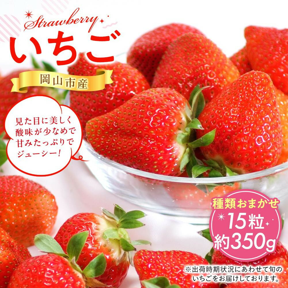 【ふるさと納税】岡山市産 いちご 15粒（約350g）・30粒（約700g）種類おまかせ 2027年3月中旬発送開始 | 種類はおまかせ イチゴ 苺 フルーツ 果物 岡山県 岡山市