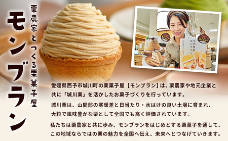 ＜城川オリジナルモンブラン 2個入り【3回定期便】＞ 栗 スイーツ マロン 洋菓子 おかし ケーキ くり お試し 和栗ペースト クリーム 渋皮煮 スポンジ チーズアパレイユ タルト メニークエスト 愛