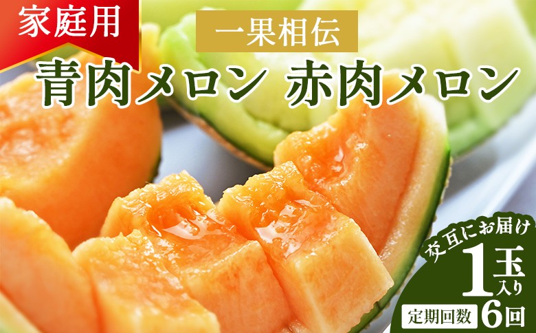 
                  【６回定期便】マスクメロン 一果相伝 青肉メロン 赤肉メロン 家庭用 1玉 交互にお届け - 訳あり メロン ますくめろん めろん 計6玉 青肉 赤肉 定期便 ていきびん 定期 果物 フルーツ めろん 青肉メロン 赤肉メロン ﾒﾛﾝ 自宅用 ジューシー 果汁 至福 美味しい ソーダ ケーキ 篤農 産地直送 糖度 高知県 香南市 メロン Wtn-0049
                