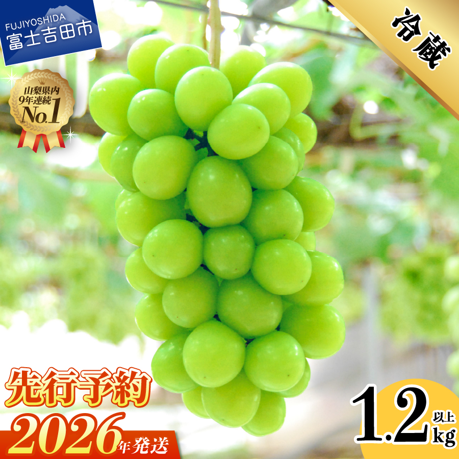 【2026年発送 先行予約】山梨県産 シャインマスカット2房 (1.2kg以上)