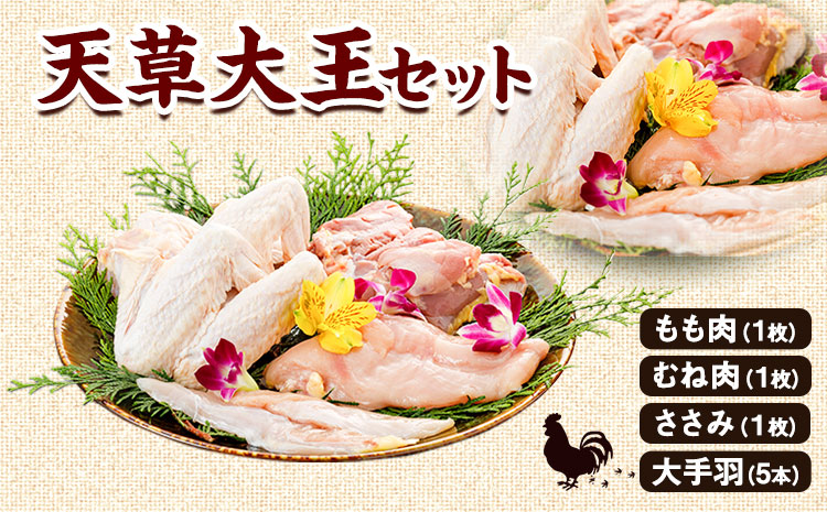 熊本県産 天草大王セット《60日以内に出荷予定(土日祝除く)》 もも肉 むね肉 ささみ 大手羽 パック  鶏肉---sn_f501daio_60d_21_11000_8p---st-p