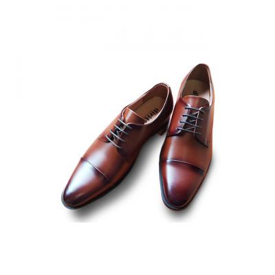 ふるさと納税 新潟市 0325牛革 ストレートチップビジネスシューズ5501BR サイズ25.0cm[54077104]