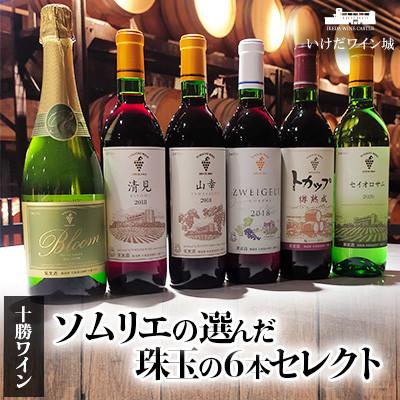 ふるさと納税 池田町 十勝ワインソムリエの選んだ珠玉の6本セレクト