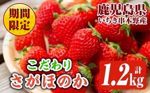 
            ＼先行予約／【数量・期間限定】さがほのか 約1.2㎏！ いちご 2パック or いちご 4パック 県内初の観光いちご農園のこだわり 完熟いちごの香りや味を堪能してほしいです！【A-2050H】
          