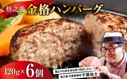 《格之進》金格 ハンバーグ 120g×6個 冷凍 小分け 個包装 寄付申込31,000件突破【 高級 国産 牛肉 豚肉 白金豚 お弁当 おかず 惣菜 お惣菜 簡単調理 肉 ビーフ ポーク ひき肉 挽肉 一関 岩手 贈り物 ギフト お取り寄せ 人気 】