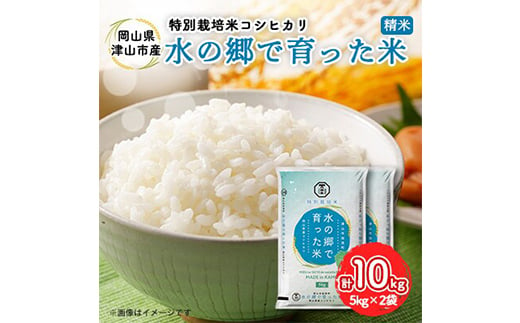 
            ＜岡山県津山市加茂町産＞水の郷で育った米 10kg 特別栽培米 コシヒカリ TY0-0635
          