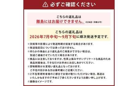 いわてひろファームの「岩手にのへきゅうり」訳アリ・Ｂ品 5kg 【2025年7月中旬から2025年9月下旬発送予定】／訳あり きゅうり キュウリ 胡瓜 野菜 B品 新鮮 採れたて 直送 露地栽培 夏野