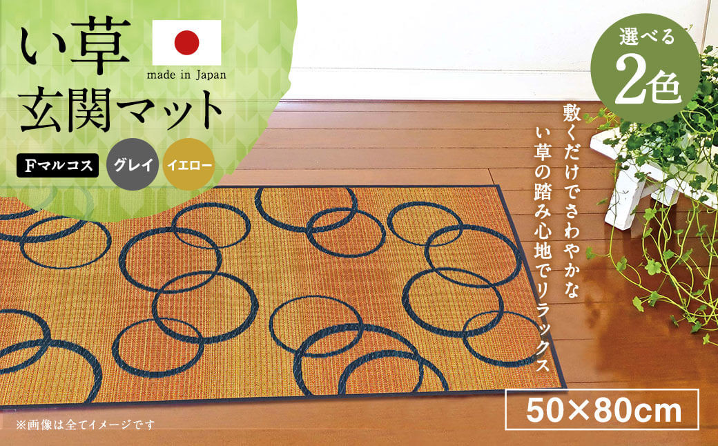
            い草 玄関マット Fマルコス 50×80cm（グレイ/イエロー）屋内
          
