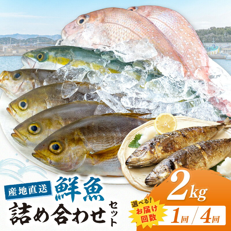 【ふるさと納税】御坊産 鮮魚セット2kg 1回 4回 定期便【配送不可地域】沖縄・北海道・東北・九州 天然 詰め合わせ 朝どれ 冷蔵 新鮮 アジ サバ タチウオ 太刀魚 タイ 漁港 和歌山県産 御坊産 送料無料 発送時期が選べる