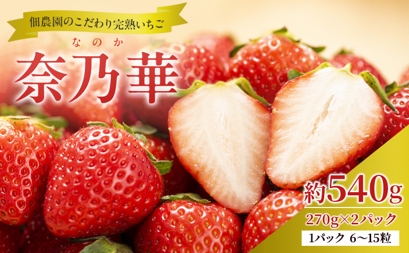 先行予約 【いちご 完熟 奈乃華 約540g(270g× 2パック ) 佃農園