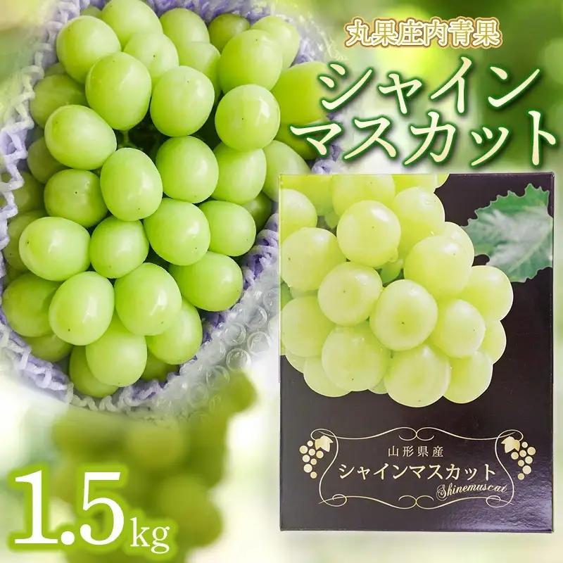 【令和8年産先行予約】シャインマスカット 約1.5kg　丸果庄内青果