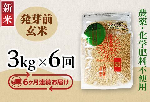 E1-H036A【6ヶ月連続お届け】新潟県長岡産コシヒカリ 発芽前玄米 3kg