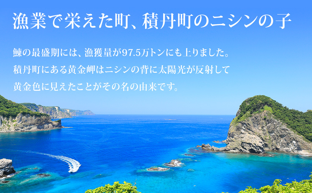【9月30日受付終了】【11月発送】本格味付数の子300g×2パック