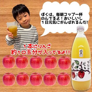 【3か月定期便】信州 サンふじ りんご ジュース 100％ 3本セット｜ りんごジュース