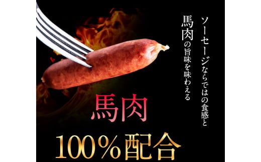 馬肉100%ソーセージ 2kg (500g×4袋) 肉 馬肉 ソーセージ 2kg 熊本県《1-5営業日以内に出荷予定(土日祝除く)》---gkt_fkgumasose_s_23_15000_2kg--