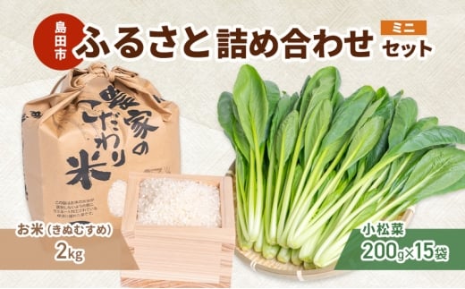 [№5695-2095]小松菜  お米(きぬむすめ)   詰め合わせ セット3　野菜 やさい こまつな 旬 国産 米 こめ コメ 産地直送 詰合せ 静岡県 島田市