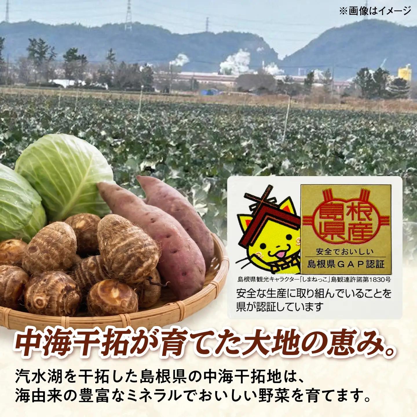 【先行予約】【2026年11月上旬順次発送】【訳あり】こだわり野菜3種（さつまいも・里芋・キャベツ）詰合せ 計4kg 島根県松江市/フジキコーポレーション株式会社[ALDS030]