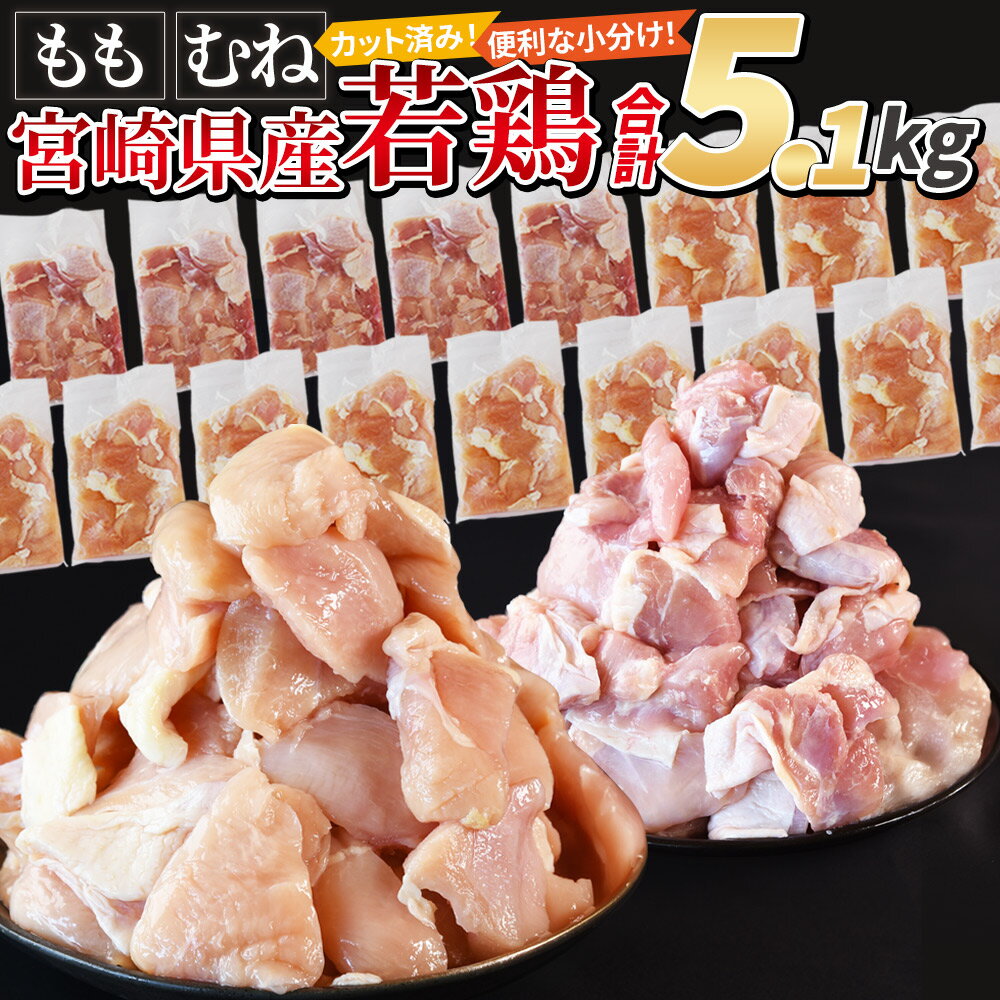 【ふるさと納税】【レビューキャンペーン】＜宮崎県産若鶏切身5.1kg（むね肉 300g×12袋 もも肉 300g×5袋）＞ 国産 鶏肉 ストック 常備品 一口サイズ モモ ムネ 鶏 切り身 小分け カット済み 市場食鳥 宮崎県 国富町 【冷凍】※入金確認後、3か月以内に順次出荷