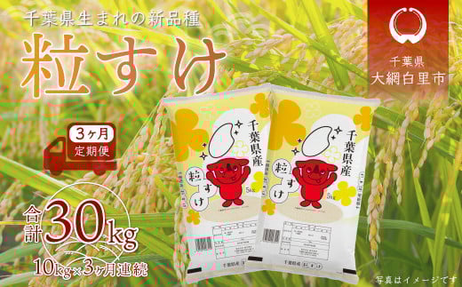 【2025年10月より発送開始】＜3ヶ月定期便＞ 令和7年産 千葉県産「粒すけ」10kg×3ヶ月連続 計30kg ふるさと納税 米 定期便 10kg 粒すけ 千葉県 大網白里市 送料無料 A031