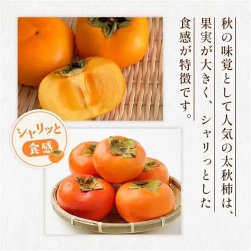 熊本県益城町産 太秋柿 約2kg入り(益城町)【配送不可地域：離島】【1713793】