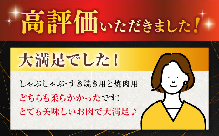 【2025年10月発送】佐賀牛 A5 堪能セット (しゃぶしゃぶ すき焼き用 ・ 焼肉用) 計800g(400g×2P) 【桑原畜産】 [NAB094] 牛肉 佐賀県産 黒毛和牛  すきやき 焼肉 B