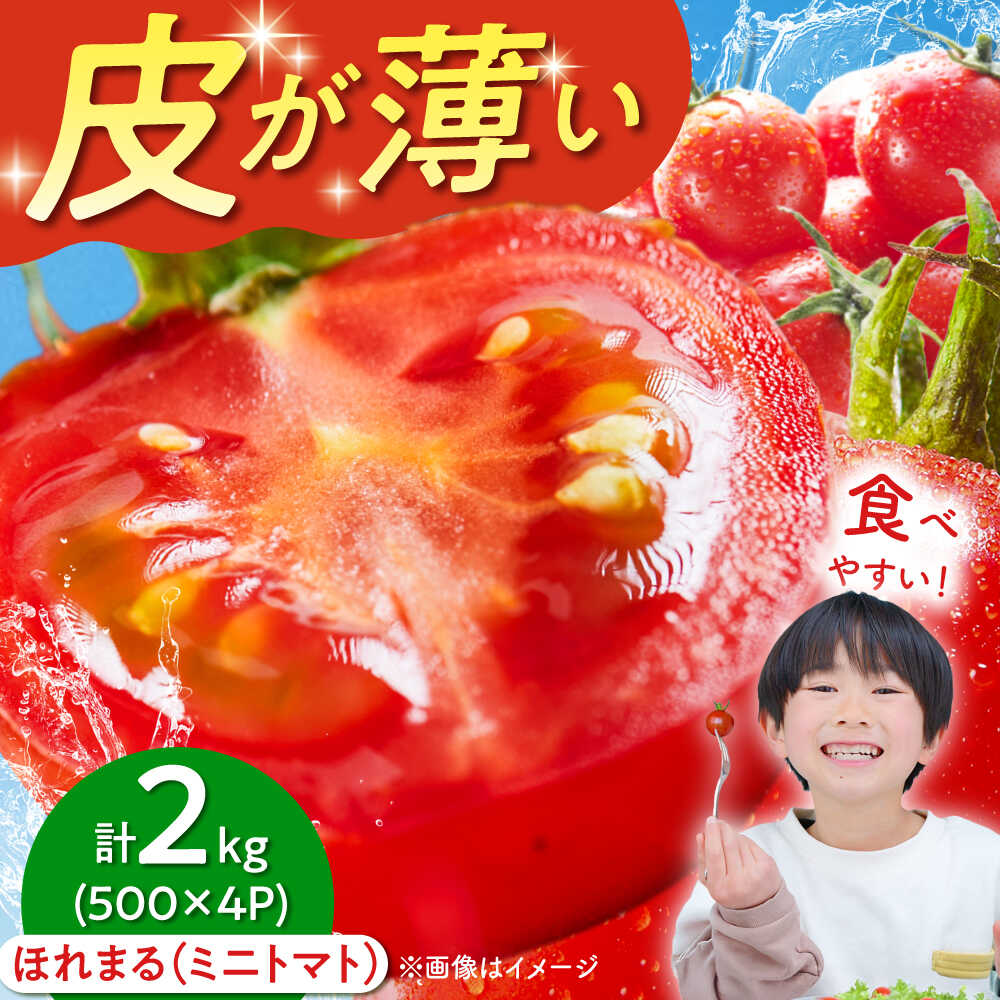 【ふるさと納税】【2026年7月以降順次発送】 喜茂別産 採れたてミニトマト 『ほれまる』 （500g×4パック）《喜茂別町》【富田農園/スプレス】 トマト ミニトマト 野菜 夏野菜 先行予約 朝採れ 季節の野菜 [AJAJ012] 16000 16000円