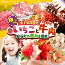 【ふるさと納税】【先行予約】【全7回定期便】産地直送！白石町産 いちごと牛肉の極上定期便 イチゴ 苺 果物 フルーツ 佐賀牛 黒毛和牛 お肉 肉 ステーキ 焼肉 すき焼き しゃぶしゃぶ [IZZ014]