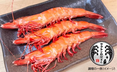 【沼島産】足赤エビ（クマエビ）200ℊ×3袋　◆配送11/1～2/28