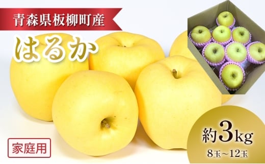 【高級りんご・はるか】家庭用/はるか/約3kg　青森県　りんご　リンゴ　林檎　フルーツ　くだもの　果物