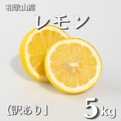 和歌山産　レモン　家庭用　5kg　サイズS～4Lの混合　【訳あり】【配送不可地域：北海道・沖縄】【1482540】