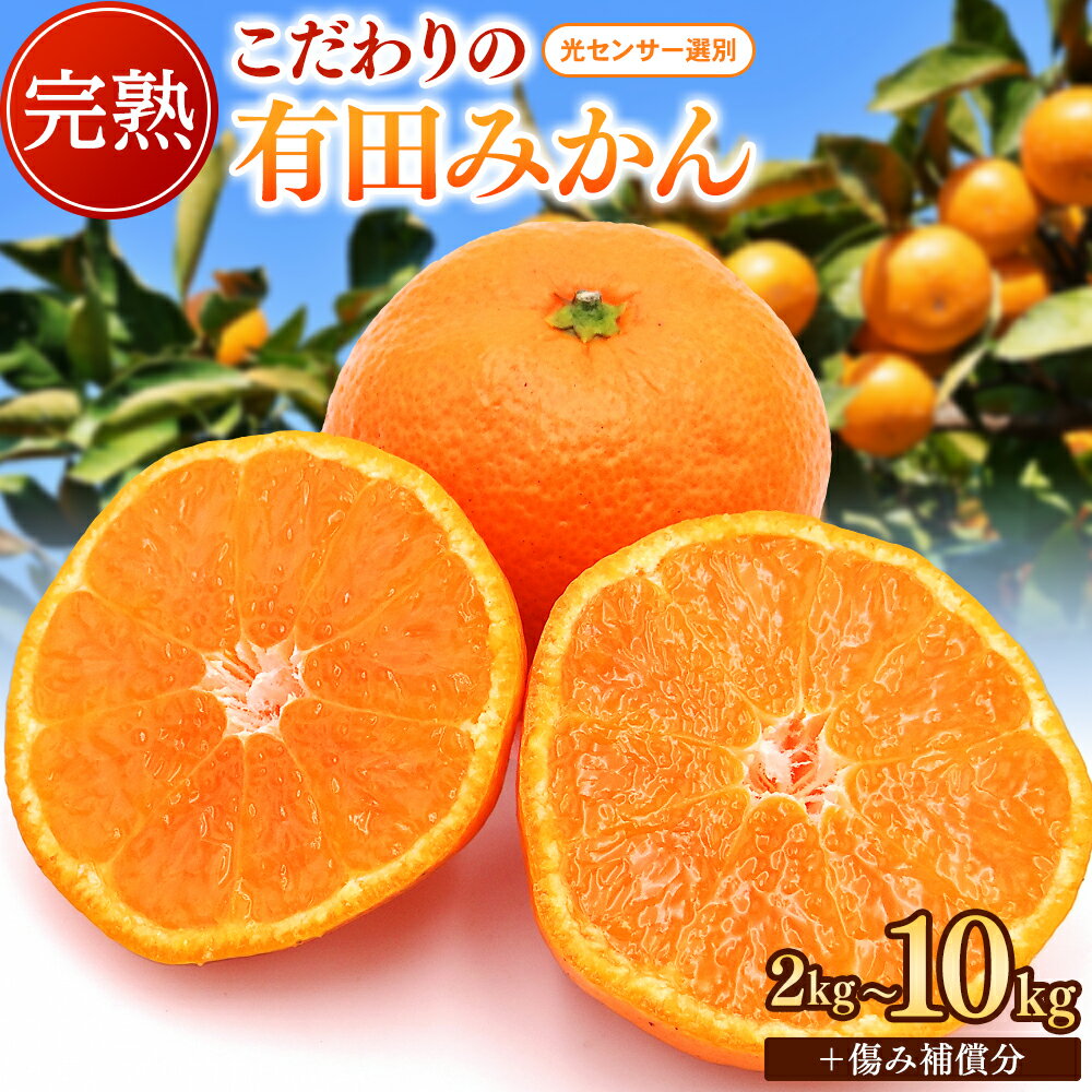 【ふるさと納税】＼レビューキャンペーン中／【先行予約】【家庭用】こだわりの 有田みかん 2kg 5kg 10kg【選べる発送時期】※沖縄・離島配送不可 / 温州みかん 温州 蜜柑 ミカン 柑橘 由良町 果物 フルーツ 産地直送 和歌山県 北海道配送可能 1万円以下 6000円 有田 みかん