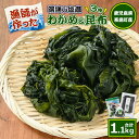 【ふるさと納税】漁師が作った 野菜昆布と湯通し塩蔵わかめセット(計1.1kg)海藻 海 昆布 こんぶ 乾燥昆布 みそ汁 味噌汁 茎わかめ 芯付わかめ【菊栄丸水産】kiku-6003