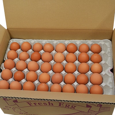 【愛川ブランド】お米たまご10kg　140個+割れ保証10個前後ニ計150個前後【配送不可地域：離島】