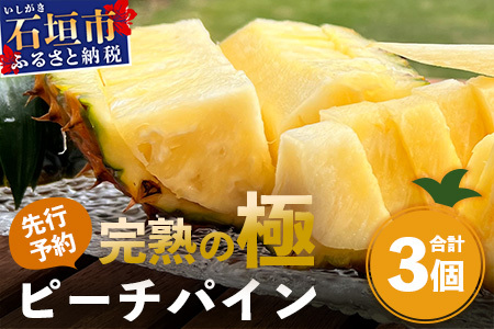《2026年4月以降順次発送》【先行予約】最高糖度20度！？ 完熟の極 石垣島産パイナップル ピーチパイン3個セット【 沖縄 石垣島 石垣 八重山 パイン ピーチパイン 期間限定 数量限定 沖縄県 石垣島産 】TF-1-1_R8