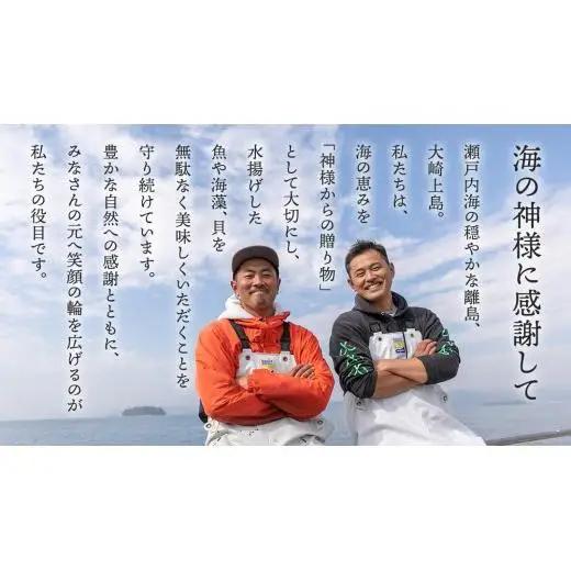 天然・生食可 大・特大サイズ 岩牡蠣 5個 瀬戸内産  《ナイフ・軍手付き》 産地直送