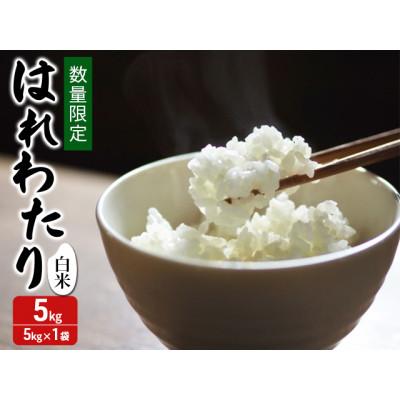 ふるさと納税 鰺ヶ沢町 令和7年産 はれわたり 白米 5kg 1袋 [53841707]