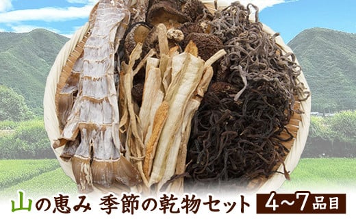 
熊本県山江村産 山の恵み 季節の乾物セット 株式会社 やまえ《60日以内に順次出荷(土日祝除く)》 山菜 きのこ キノコ しいたけ 椎茸 ぜんまい 大根 わらび 梅 お取り寄せ
