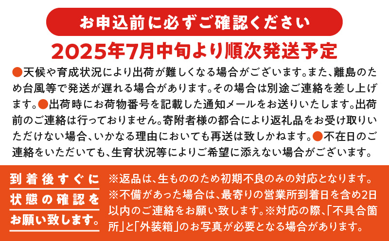 【2025年先行予約】伊藤農園こだわり栽培！完熟アップルマンゴー1.5kg（3玉）　W026-003u