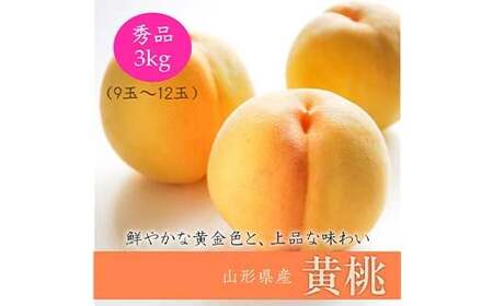 《2025年産先行受付》山形県産 黄桃 3kg ※品種玉数おまかせ もも モモ 桃 デザート フルーツ 果物 くだもの 果実 食品 山形県 FSY-0018