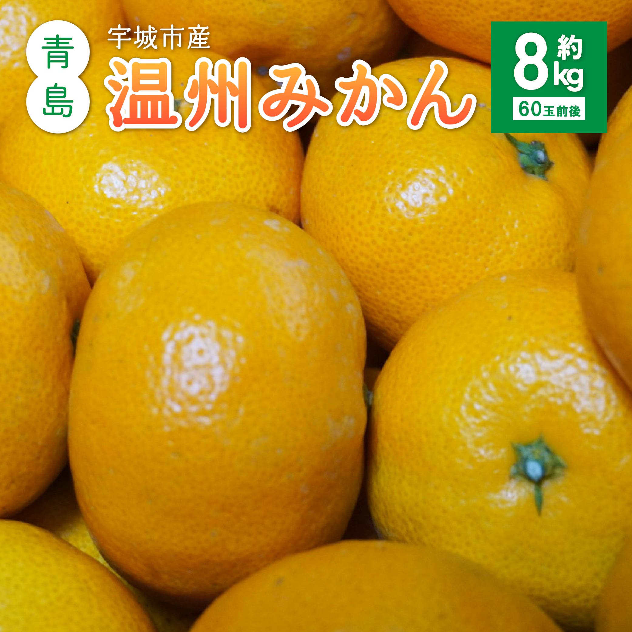 【ふるさと納税】 先行予約 みかん 青島 温州みかん 約8kg (60玉前後) 【2025年11月下旬から12月中旬頃発送予定】 青島みかん 青島温州みかん みかん ミカン 蜜柑 フルーツ 果物 くだもの 熊本県産 九州産 国産 ひでみかん