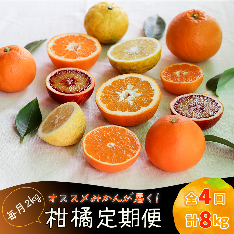 【12月から発送】柑橘定期便 全4回 2kg × 4回 計8kg  品種おまかせ | 家庭用 みかん 温州 蜜柑 ミカン 果物 フルーツ 定期便 旬 季節限定 数量限定 NPO法人農音 愛媛県 松山市 中島 農音
