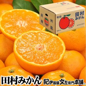 【日高町】田村みかん 秀品4kg【サイズおまかせ】湯浅町田村地区産/産地直送【1221333】