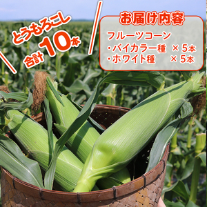【先行予約】とうもろこし 2種食べ比べ 10本（バイカラー ホワイ）とうもろこし スイート コーン