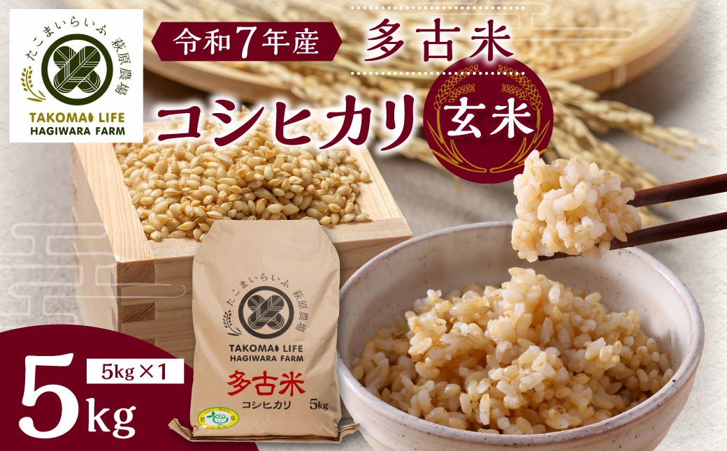 【令和7年産】たこまいらいふ萩原農場の多古米コシヒカリ(玄米)5kg　【配送不可地域：離島・沖縄県】 TAKK014