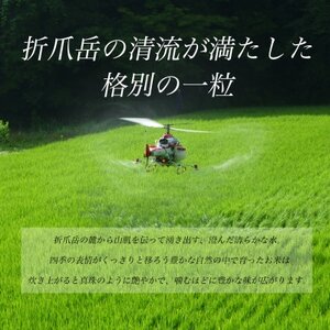 令和6年産　岩手県軽米町産　精米　あきたこまち　5kg【配送不可地域：離島・沖縄県】【1714156】