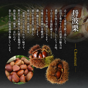 【ふるさと納税】 焼き栗きんとん ( 焼き栗きんとん 12個 ) 丹波栗 和菓子 菓子 伝統 美 甘い 甘党 ギフト お祝い 贈答品 中元 歳暮 数量限定 期間限定 人気 ふるさと納税 ふるさと 人気