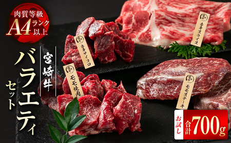 宮崎牛　赤身バラエティセット700g　4等級以上　国産牛肉＜2.9-3＞